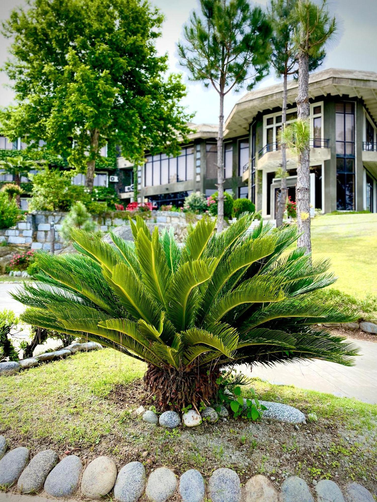 Rock City Resort Mingora Экстерьер фото